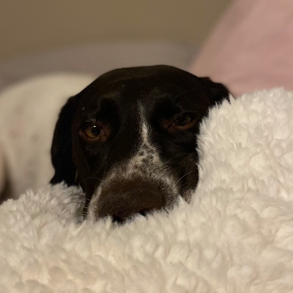 Meet your Posher, Jenn.